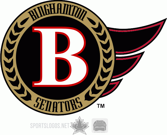 Binghamton Senators 2006 07-Pres Secondary Logo iron on heat transfer